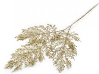 Zlaté kapradí 54cm